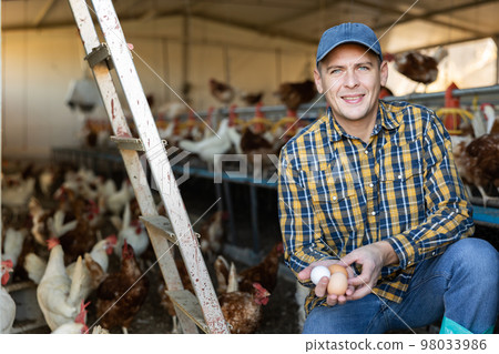Young European male farmer picking fresh chicken eggs in coop Young European male farmer picking fresh chicken eggs in coop 98033986