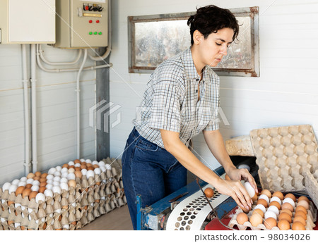 Smiling adult latin woman in plaid shirt and cap collecting eggs in chicken farm Smiling adult latin woman in plaid shirt and cap collecting eggs in chicken farm 98034026