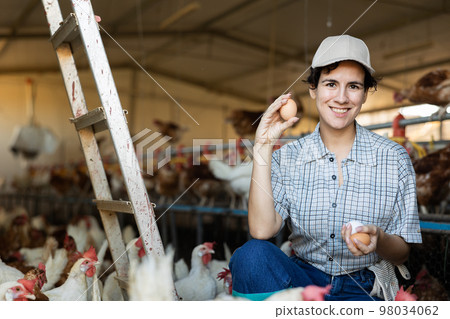 Successful hispanic woman farmer showing chicken eggs in henhouse 98034062