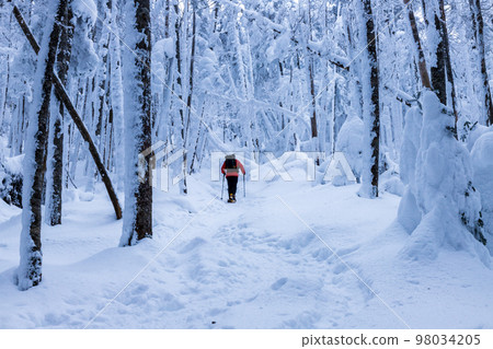 雪中的北八岳 雪中的北八岳 98034205
