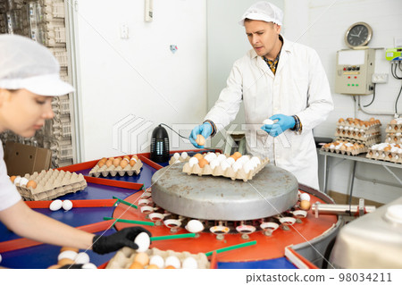 group of people in lab coats and hairnets doing egg quality control in chicken farm 98034211