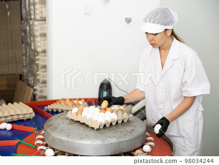Adult experienced european woman sorting eggs in chicken farm Adult experienced european woman sorting eggs in chicken farm 98034244