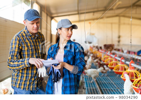 Man and woman farmers in plaid shirts taking notes and talking inside of chicken farm Man and woman farmers in plaid shirts taking notes and talking inside of chicken farm 98034290