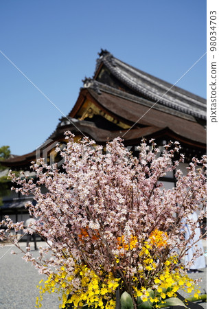 歷史建築和櫻花 98034703