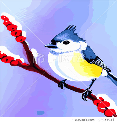 Vector realistic detailed vector illustration winter birds branches. Winter design elements Christmas, holidays. sitting branch. Winter background. Tree branch without leaves with flying birds. Vector realistic detailed vector illustration winter birds branches. Winter design elements Christmas, holidays. sitting branch. Winter background. Tree branch without leaves with flying birds. 98035031
