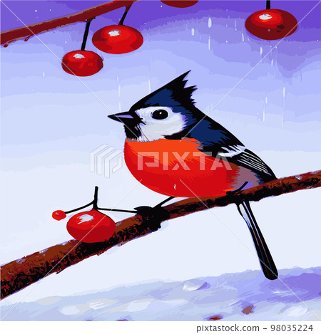 Vector realistic detailed vector illustration winter birds branches. Winter design elements Christmas, holidays. sitting branch. Winter background. Tree branch without leaves with flying birds. Vector realistic detailed vector illustration winter birds branches. Winter design elements Christmas, holidays. sitting branch. Winter background. Tree branch without leaves with flying birds. 98035224