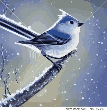 Vector realistic detailed vector illustration winter birds branches. Winter design elements Christmas, holidays. sitting branch. Winter background. Tree branch without leaves with flying birds. 98035392