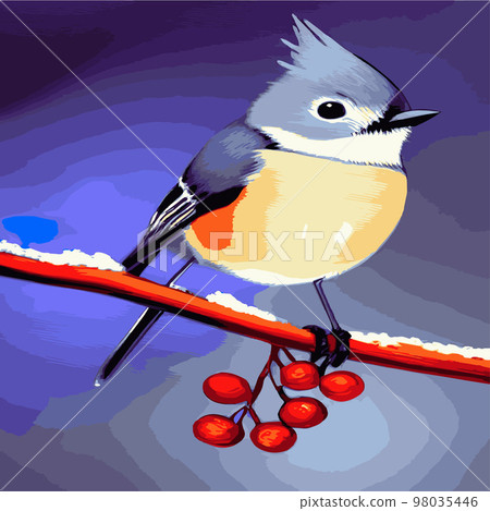 Vector realistic detailed vector illustration of winter birds on branches. Winter design elements for Christmas, New Year, holidays. sitting on a branch. Winter background. 98035446