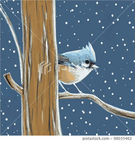 Vector realistic detailed vector illustration winter birds branches. Winter design elements Christmas, holidays. sitting branch. Winter background. Tree branch without leaves with flying birds. Vector realistic detailed vector illustration winter birds branches. Winter design elements Christmas, holidays. sitting branch. Winter background. Tree branch without leaves with flying birds. 98035462