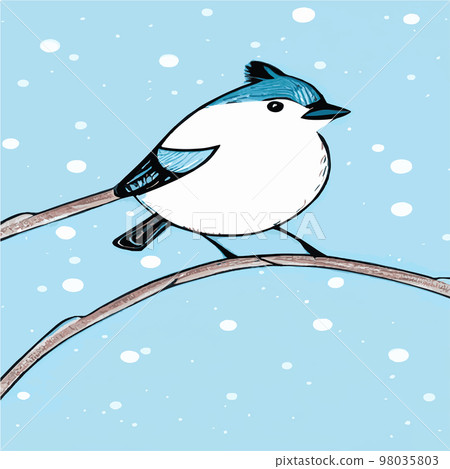 Vector realistic detailed vector illustration of winter birds on branches. Winter design elements for Christmas, New Year, holidays. sitting on a branch. Winter background. Vector realistic detailed vector illustration of winter birds on branches. Winter design elements for Christmas, New Year, holidays. sitting on a branch. Winter background. 98035803