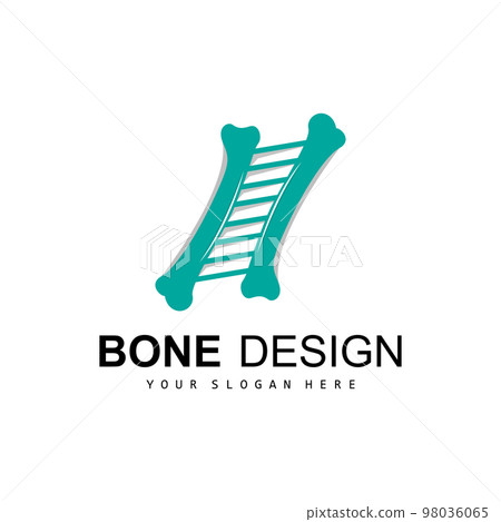 Bone Logo, Bone Care Vector, And Bone Medicine, Hospital, Health 98036065