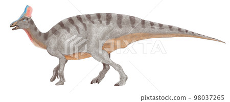 Tintaosaurus A lizard that finally got rid of its unnaturalness 98037265