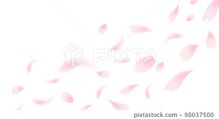 櫻花花瓣風景背景 98037500