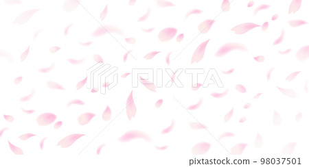 Cherry blossom petals landscape background 98037501