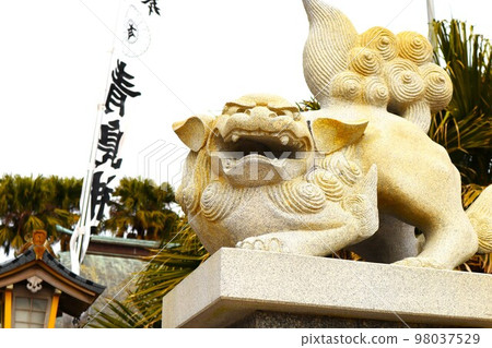 青島神社的柴犬 98037529
