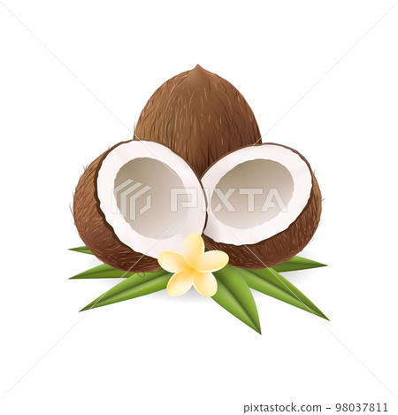 Realistic coconuts with leaves and flower Realistic coconuts with leaves and flower 98037811