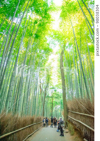 Beautiful bamboo grove scenery at Saga-Arashiyama in Kyoto 98038304