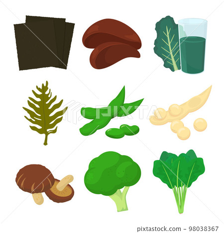 含有葉酸的食物的矢量圖解。 含有葉酸的食物的矢量圖解。 98038367