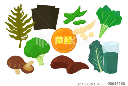 Vector illustration of foods containing folic acid. 98038368