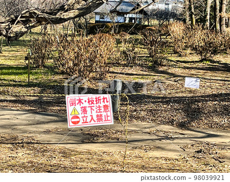 小心倒下的樹木 98039921