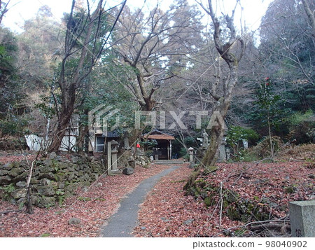 Satoyama 98040902