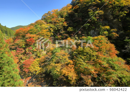 Otaki, Chichibu City, Saitama Prefecture Autumn leaves near the Ochigawa Bridge next to the Karizaka Michi on the Sakai Kaido along the Arakawa River in Okuchichibu 98042422
