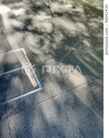 落在人行道上的樹影 / 樹 落在人行道上的樹影 / 樹 98042430