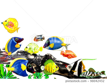 School of fish on the seabed 98042432