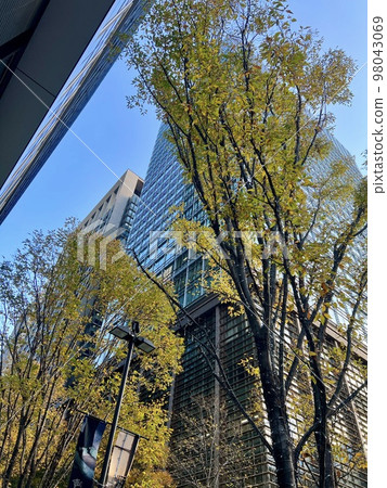 東京:丸之內地區的建築物/秋天(秋葉)/東京的建築物 東京:丸之內地區的建築物/秋天(秋葉)/東京的建築物 98043069
