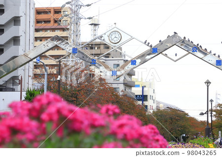 Pink Kusasantanka or Pentas 98043265