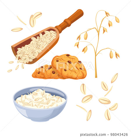 oatmeal food healthy set cartoon vector illustration oatmeal food healthy set cartoon vector illustration 98043426