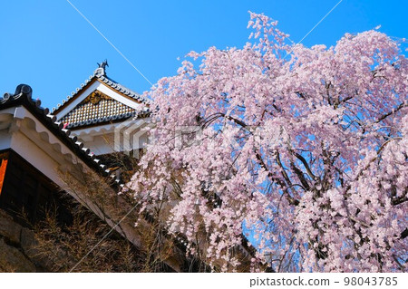 上田城跡公園櫻花盛開 上田城跡公園櫻花盛開 98043785