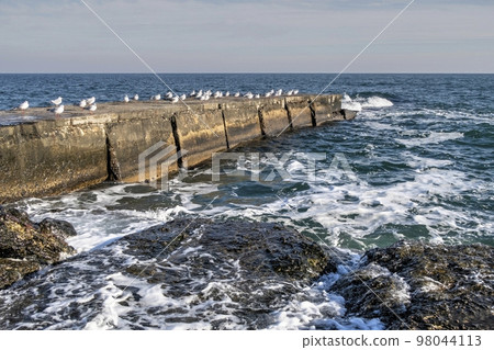 Deserted Lanzheron beach in Odessa, Ukraine 98044113