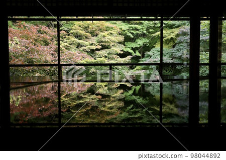 Rurikoin Temple, Kyoto Prefecture 98044892