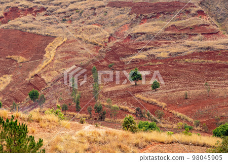 Central Madagascar landscape - Betafo, Vakinankaratra Madagascar Central Madagascar landscape - Betafo, Vakinankaratra Madagascar 98045905