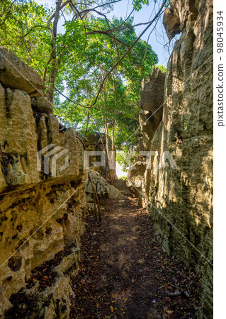 Petit Tsingy de Bemaraha, Madagascar wilderness landscape 98045934