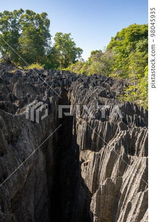 Petit Tsingy de Bemaraha, Madagascar wilderness landscape 98045935