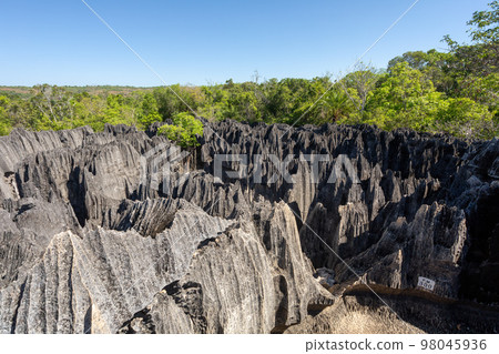 Petit Tsingy de Bemaraha, Madagascar wilderness landscape Petit Tsingy de Bemaraha, Madagascar wilderness landscape 98045936