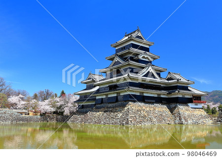 [Nagano Prefecture] Matsumoto Castle in full bloom in cherry blossoms 98046469