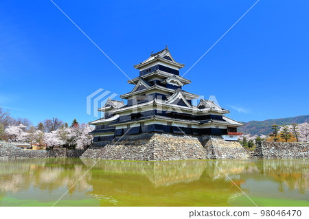[Nagano Prefecture] Matsumoto Castle in full bloom in cherry blossoms 98046470