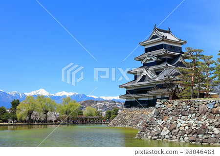 [長野縣]松本城和北阿爾卑斯山盛開 98046483