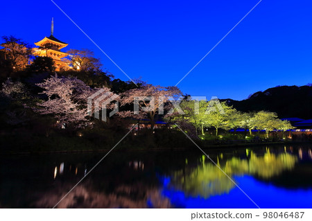 [Kanagawa Prefecture] Night cherry blossoms at Sankeien Garden 98046487