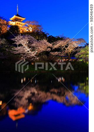 [神奈川縣]三溪園的夜櫻 98046489