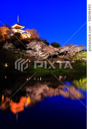 [神奈川縣]三溪園的夜櫻 98046493