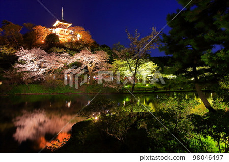 [Kanagawa Prefecture] Night cherry blossoms at Sankeien Garden 98046497