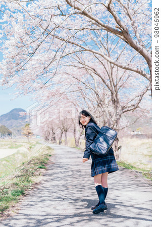 High school girl going to school on the street of cherry blossom trees 98046962