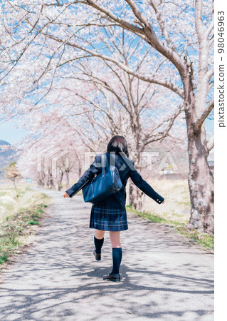 High school girl going to school on the street of cherry blossom trees 98046963