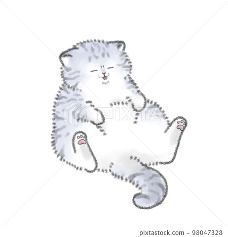 Plump cat 98047328