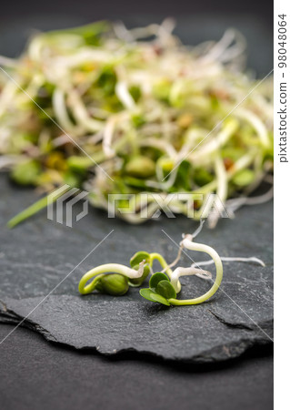 Fresh sprouts 98048064