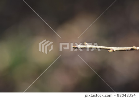 Japanese orixa 98048354